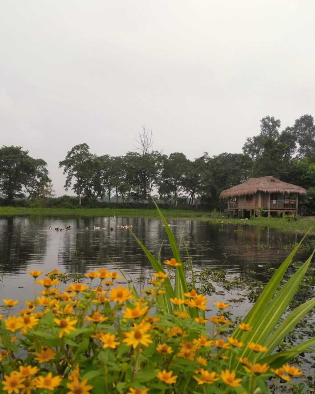 Yagdrasill Bamboo Cottage Bamungaon Eksteriør bilde